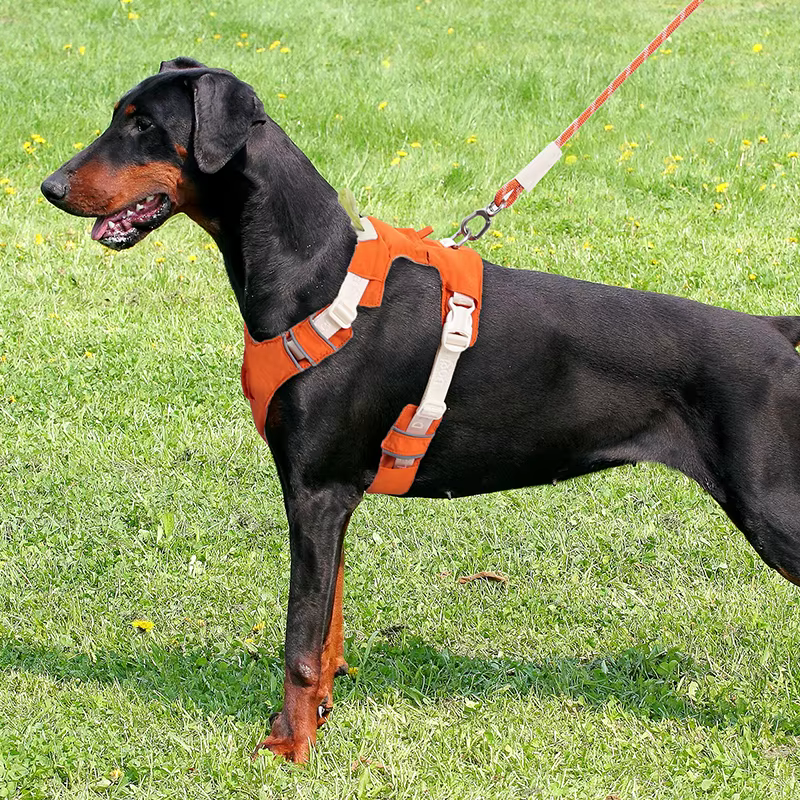 Arnés antitirones resistente para perros – Chaleco de seguridad - imagen 4
