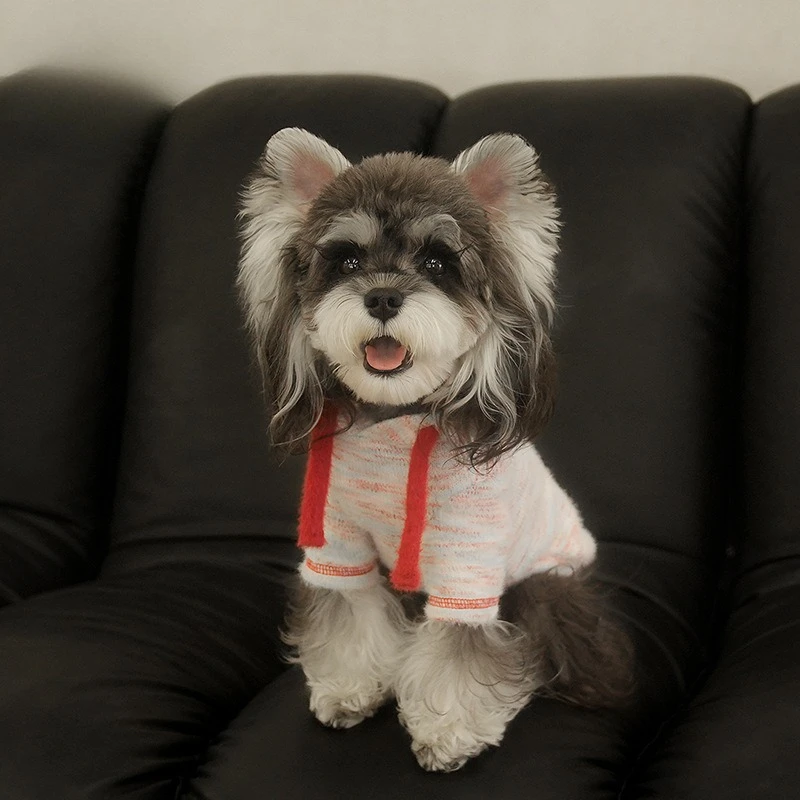 Sudadera Capucha para Perro – Felpa Otoño Invierno Teddy Schnauzer - imagen 4