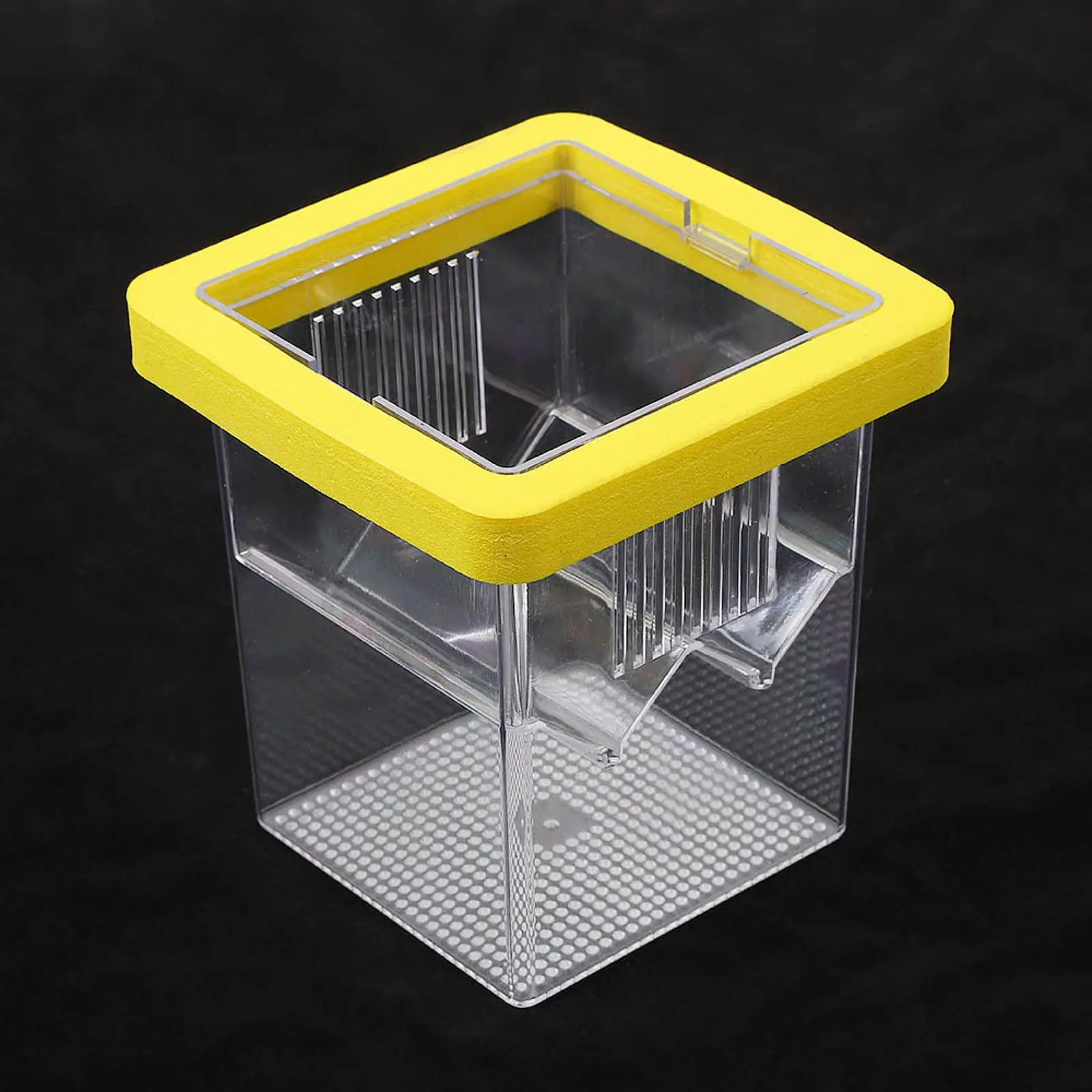 Caja de observación de alevines