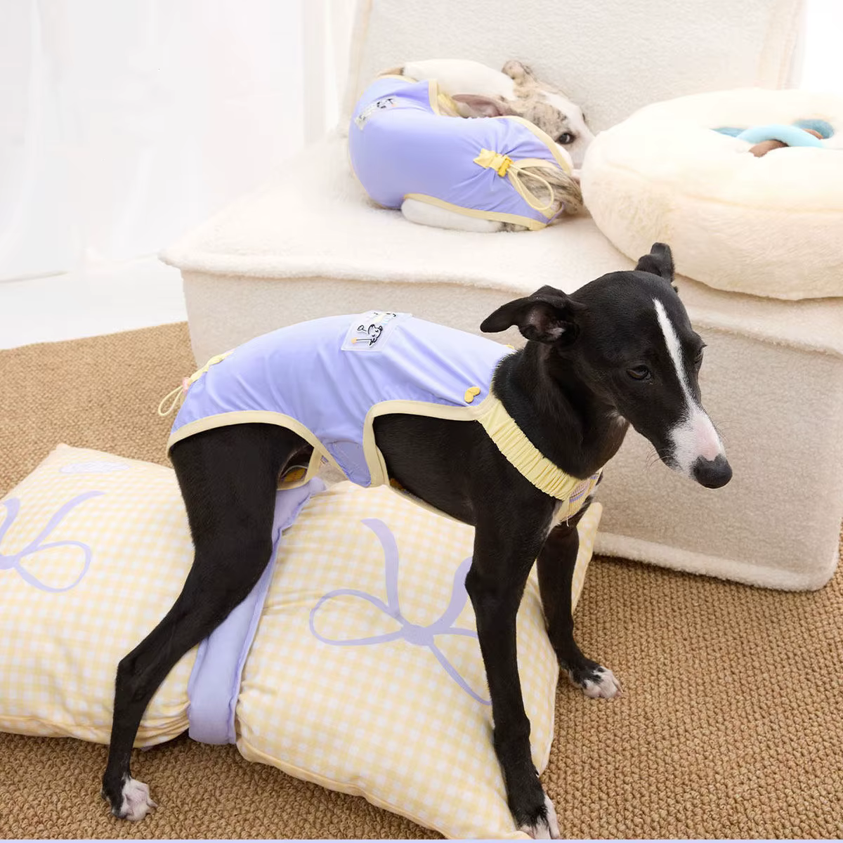 Chaleco refrescante UPF50+ para galgo italiano – tejido antibacteriano - imagen 3