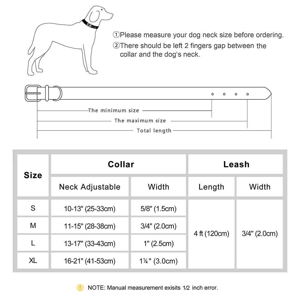Juego correa y collar acolchado para perro – Ajustable - imagen 4