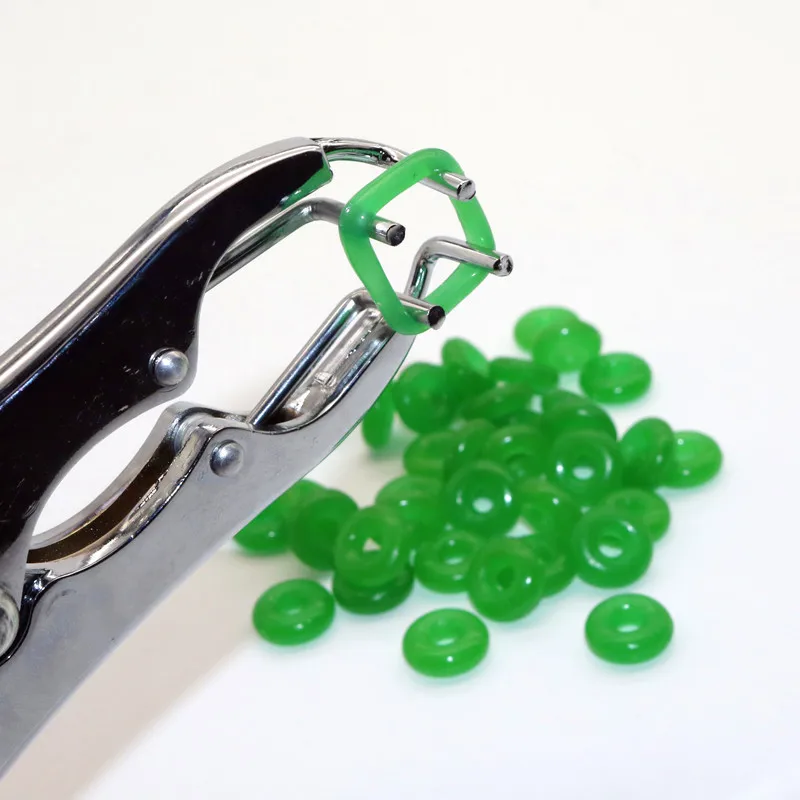 Anillo de castración con alicates de aplicación