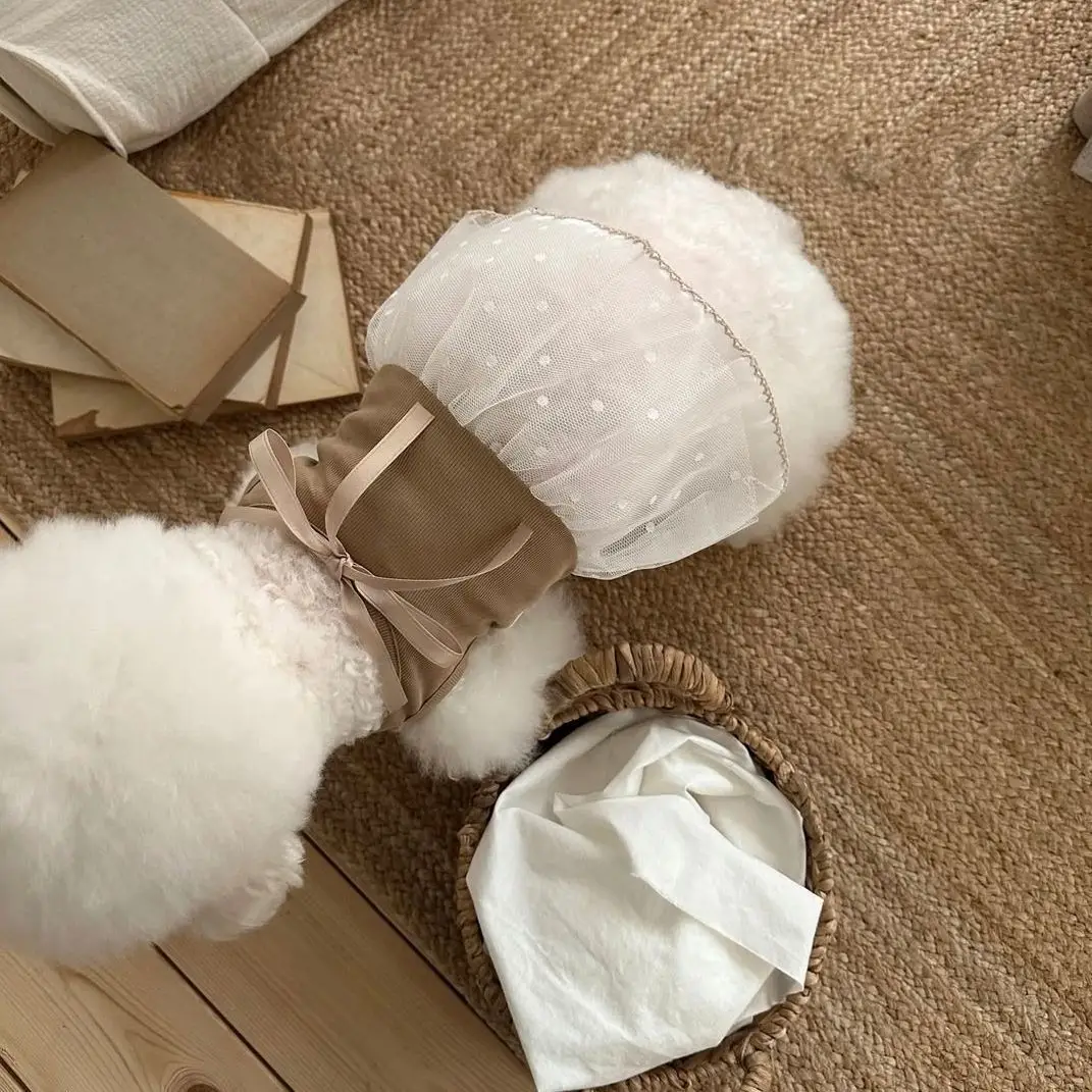 Vestido de encaje con lazo para perros pequeños, primavera y verano - imagen 3