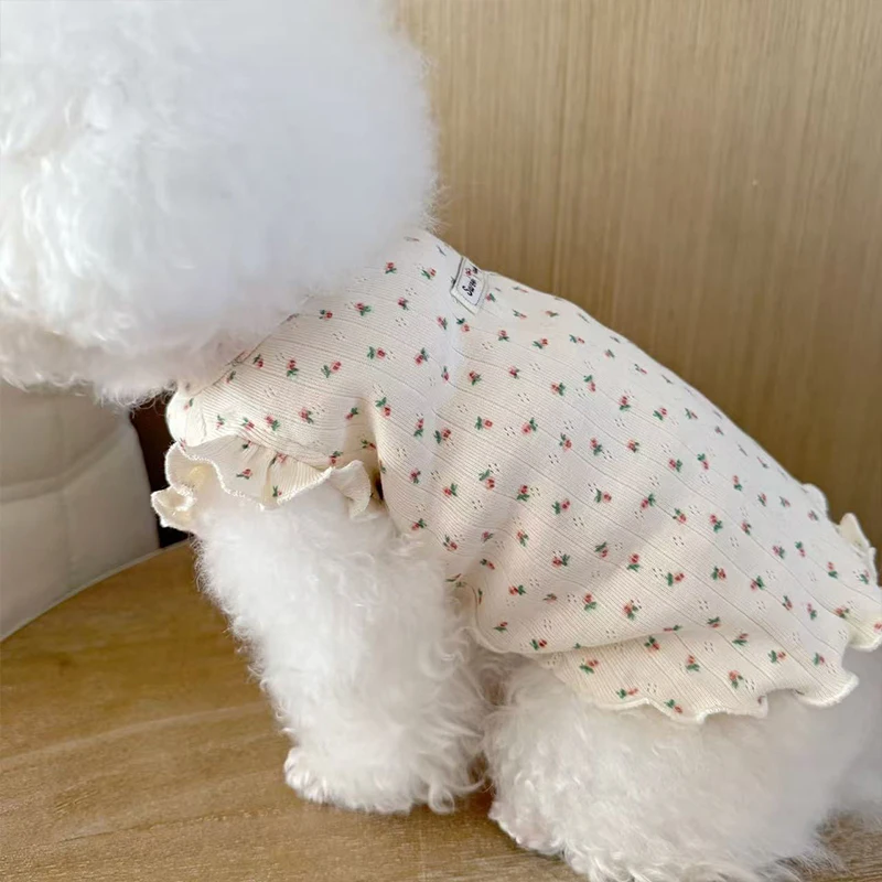 Camiseta verano para perros pequeños y gatitos - imagen 3