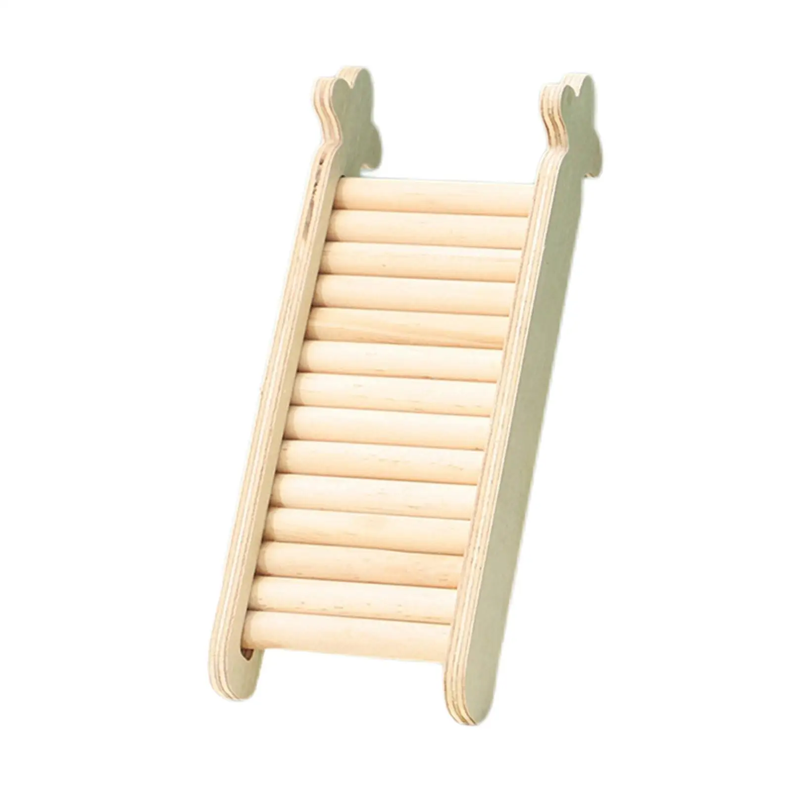 Configuración de escalera dentro de hábitat de hámster