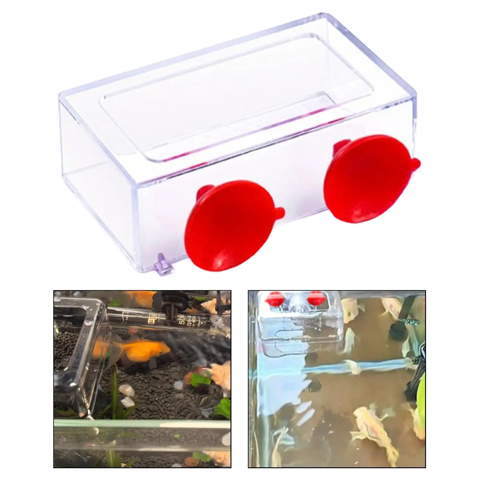 Comedero anillo flotante para peces y tortugas – Acuario - imagen 4