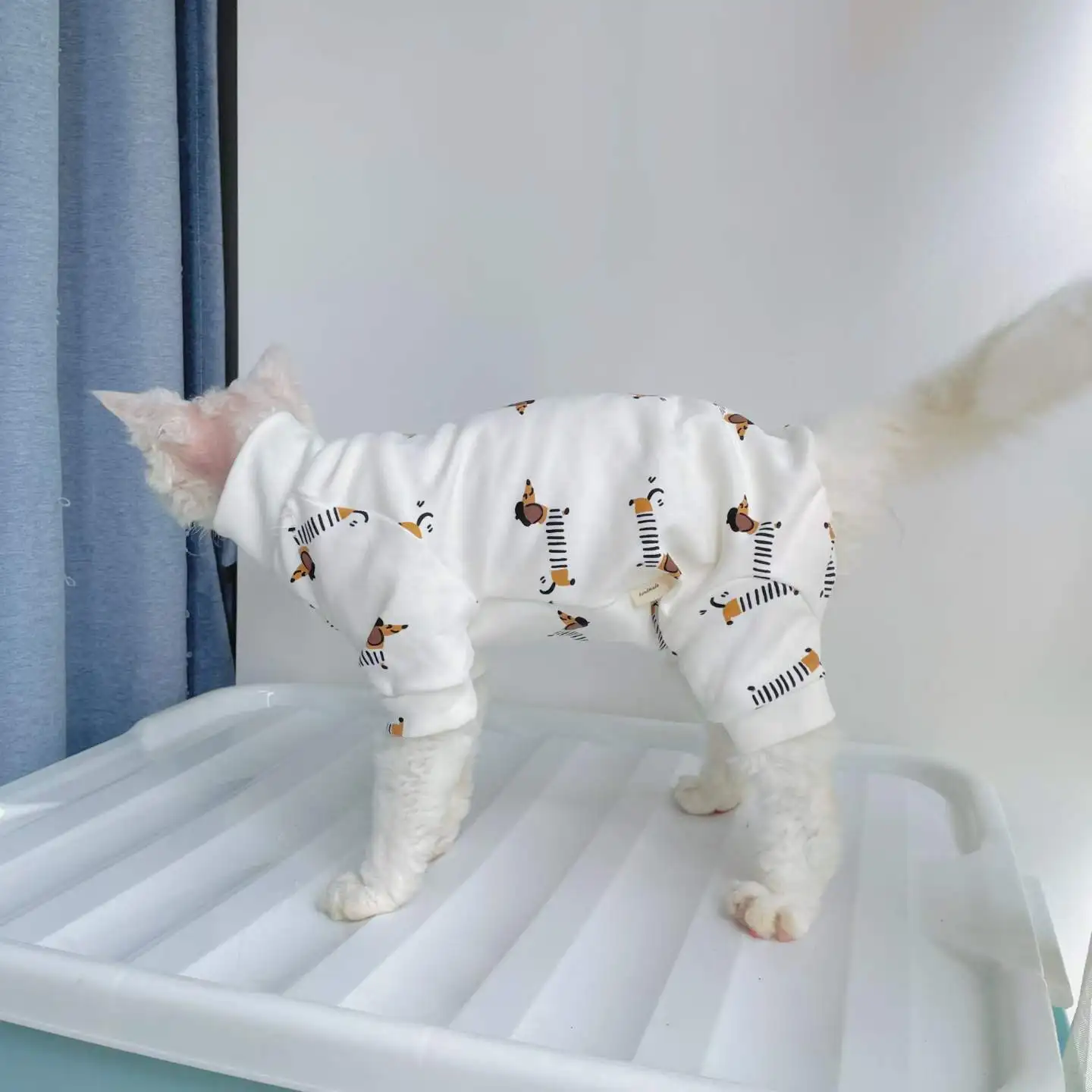 Pijama algodón 4 patas para gatos Sphynx y Devon Rex - imagen 3