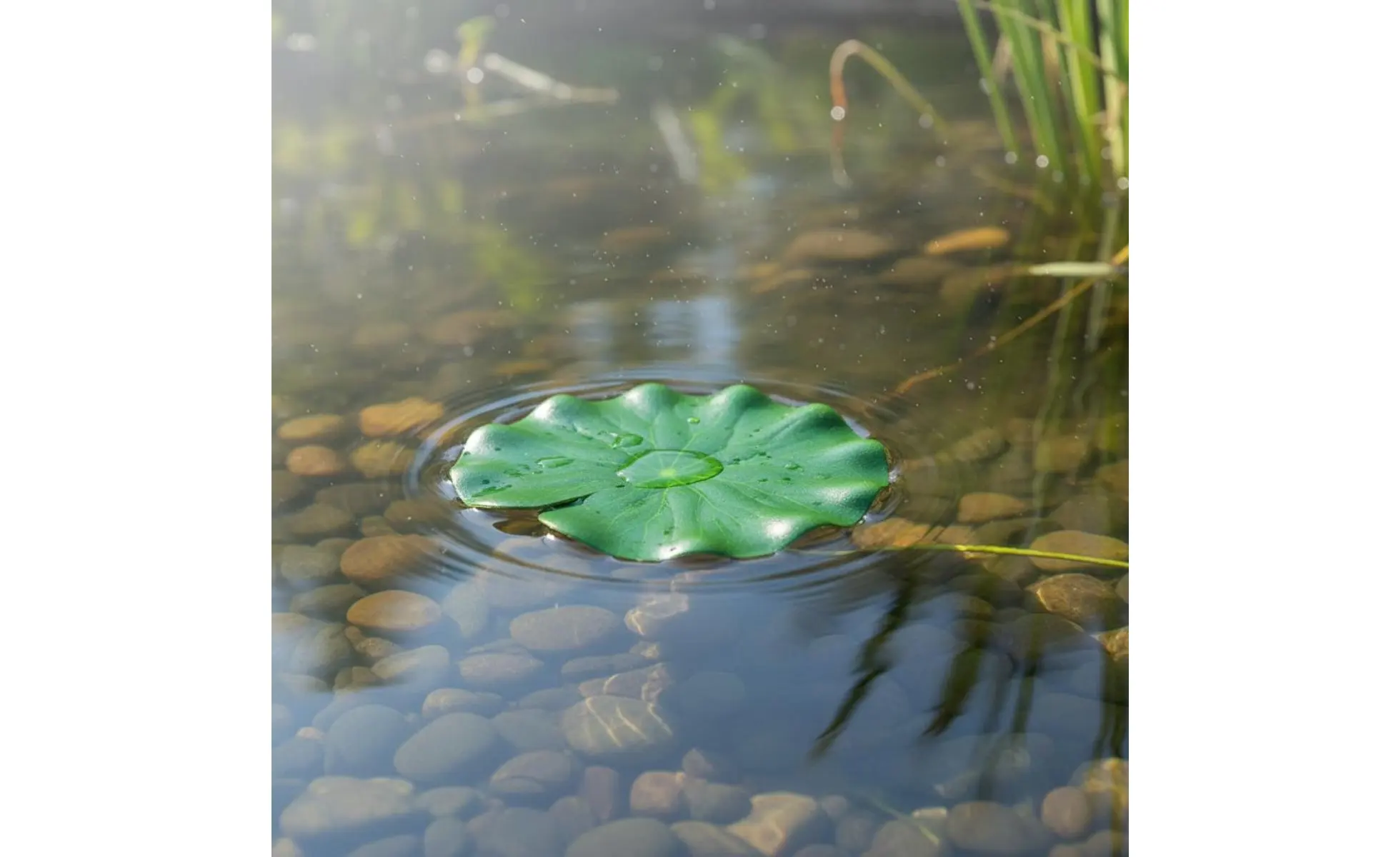 Follaje artificial flotante con aspecto realista en un entorno acuático