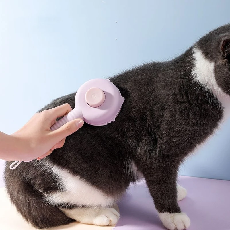 Gato disfrutando del masaje con el peine