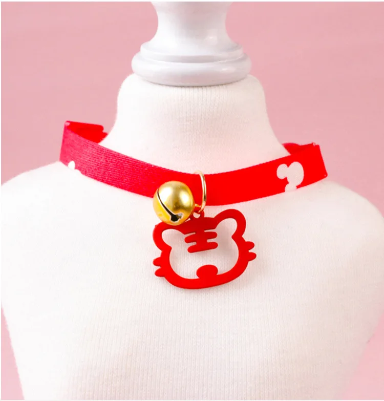 Collar en uso con mascota