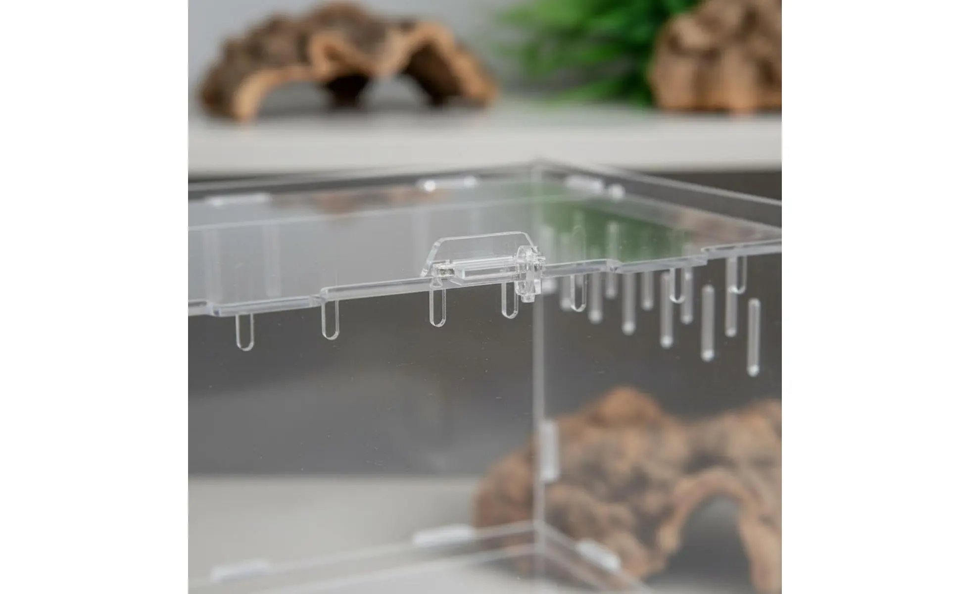 Terrario acrílico con decoración de hábitat para pequeños reptiles