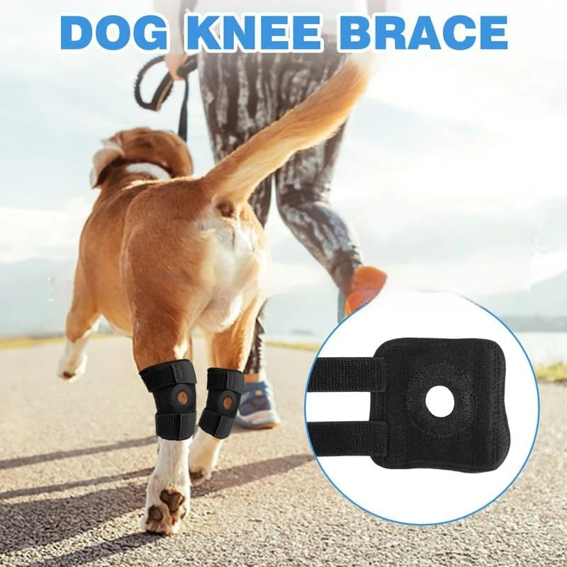 Detalle adicional del protector para rodilla canina