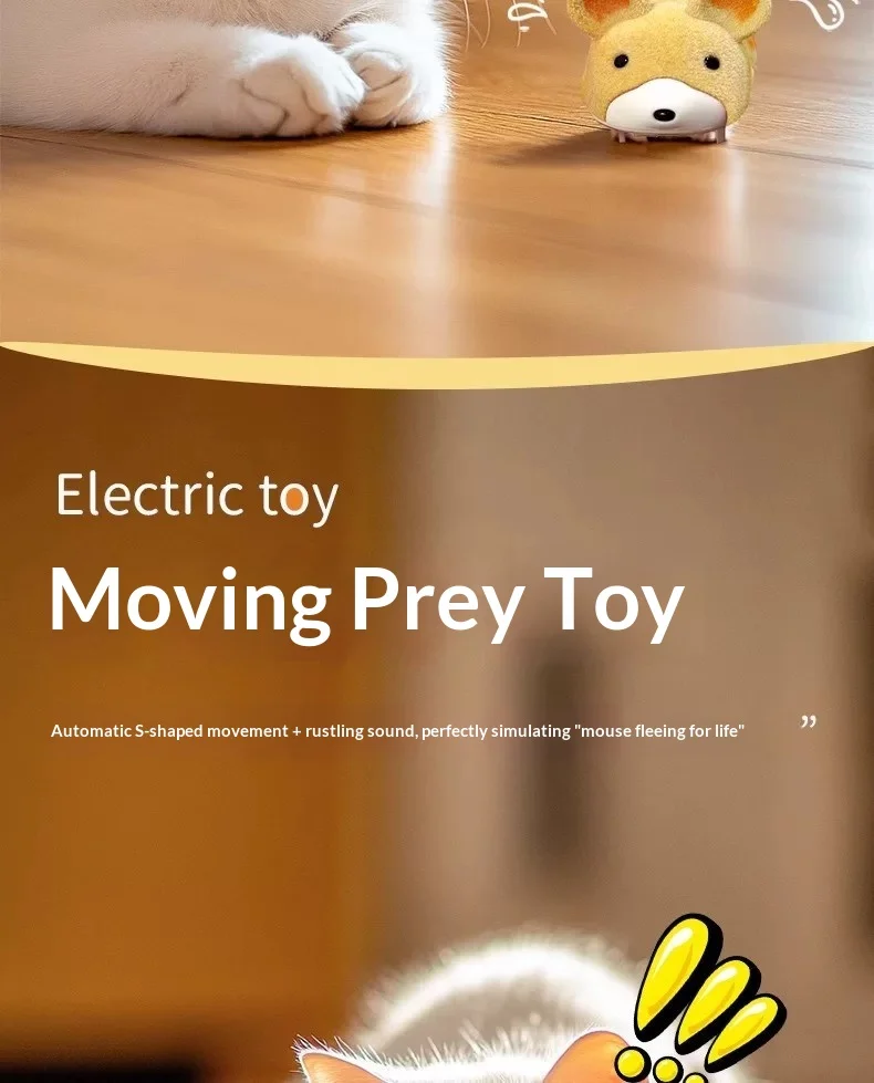 Juego activo para gatos