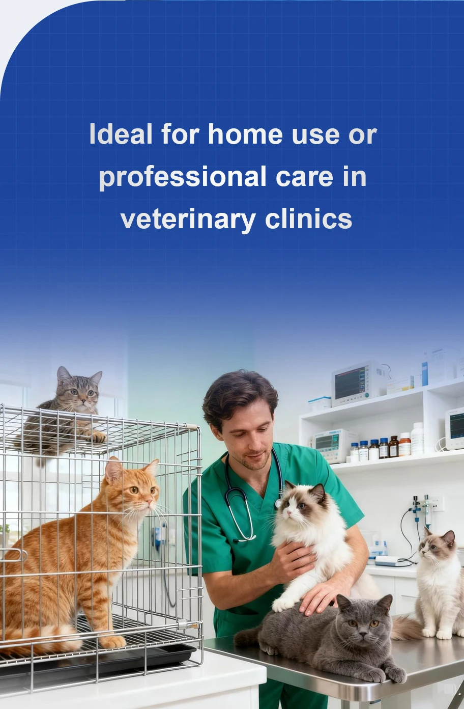 Catéter uretral estéril y suministros veterinarios para gatos