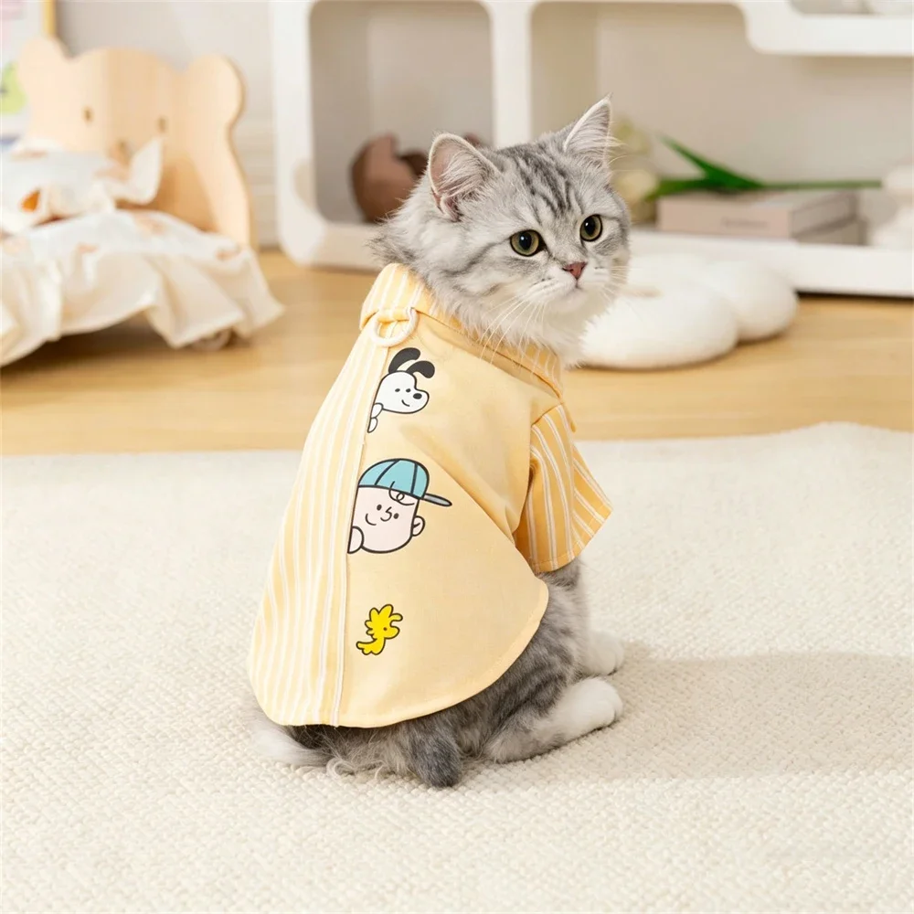 Mascota pequeña usando la camisa a rayas en paseo