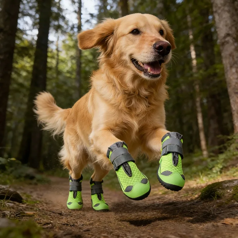 Zapatos transpirables para perro grandes, antimanchas y agarre - imagen 4