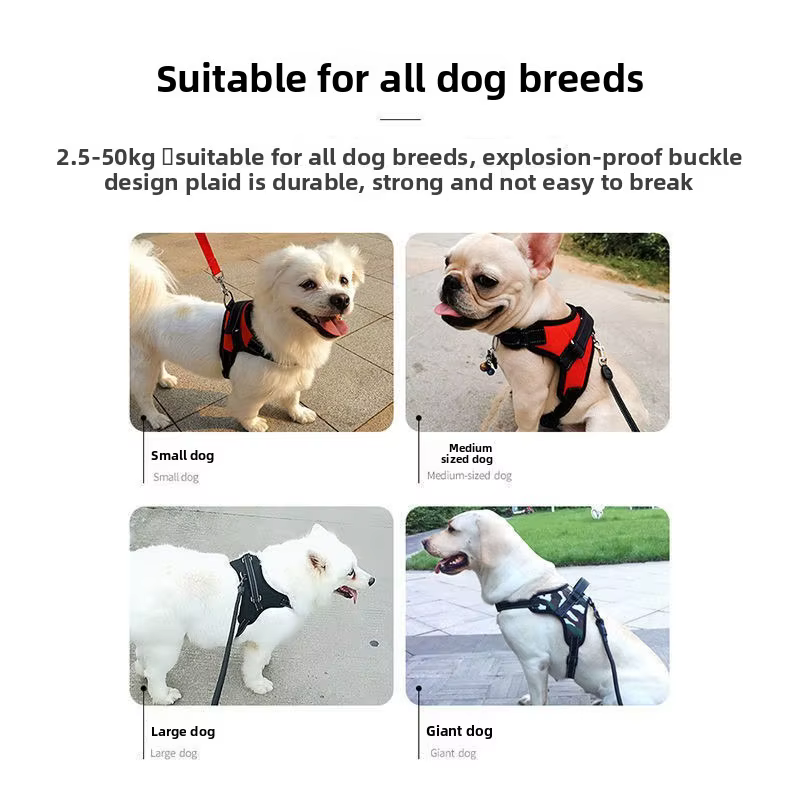 Arnés sin tirones para perros pequeños y medianos, Corgi y Chihuahua - imagen 2