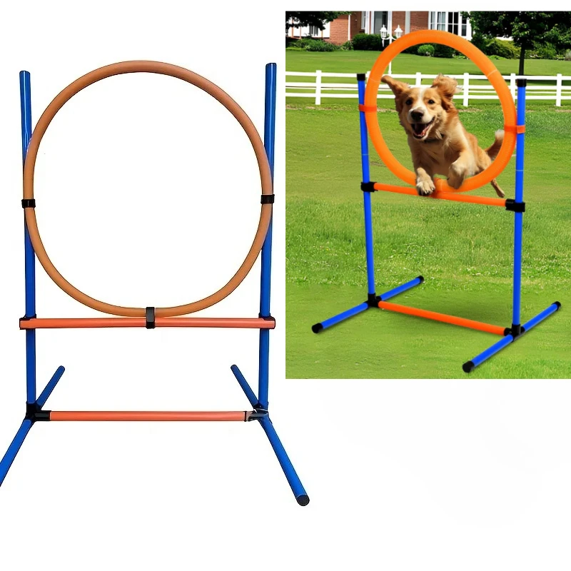 Circuito de Agilidad para Perros – Set de Obstáculos y Anillos Ajustables para Jardín - imagen 5