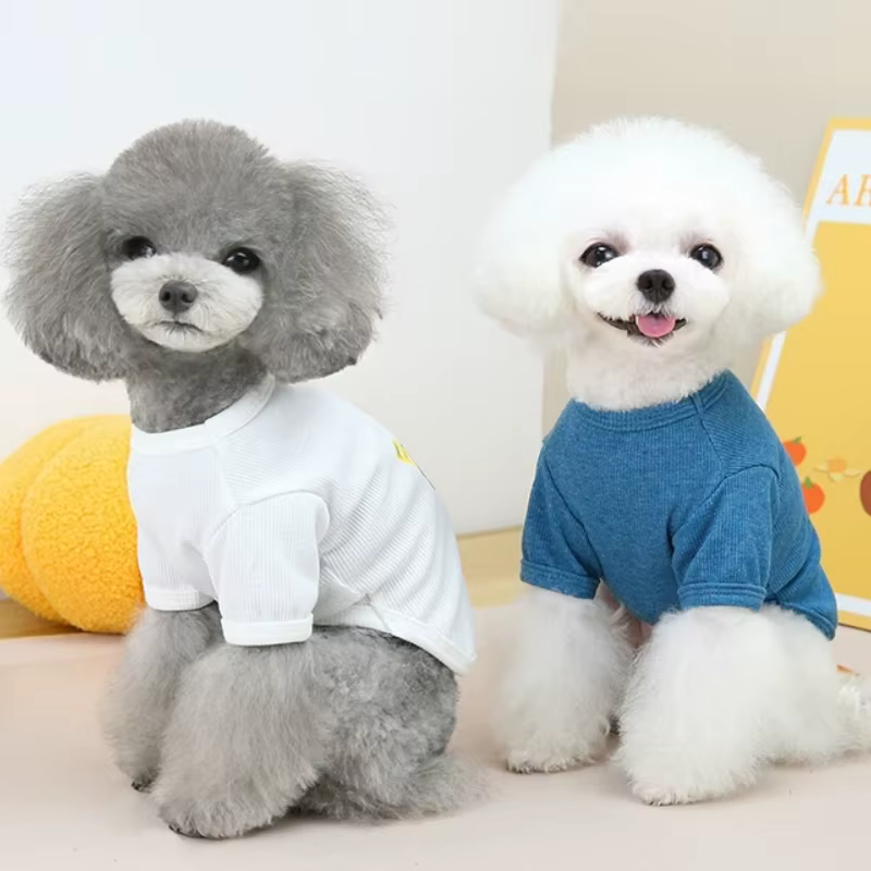 Camiseta veraniega para perros y gatos con estampado de oso – Bichón - imagen 3