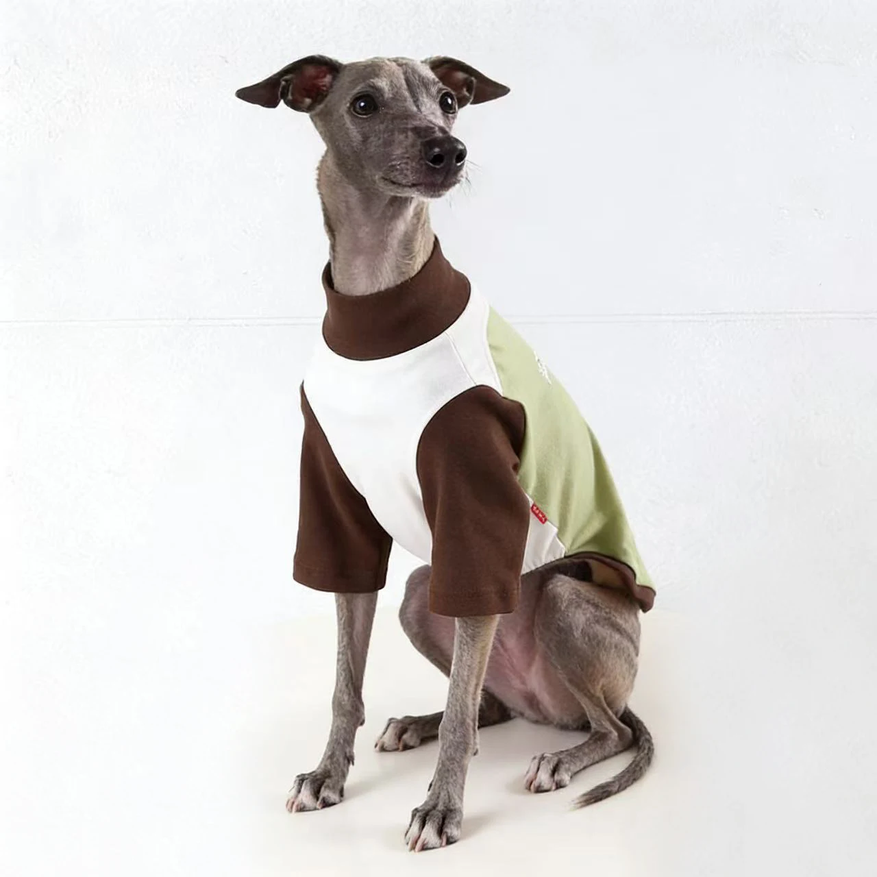 Abrigo para perro de caza en movimiento