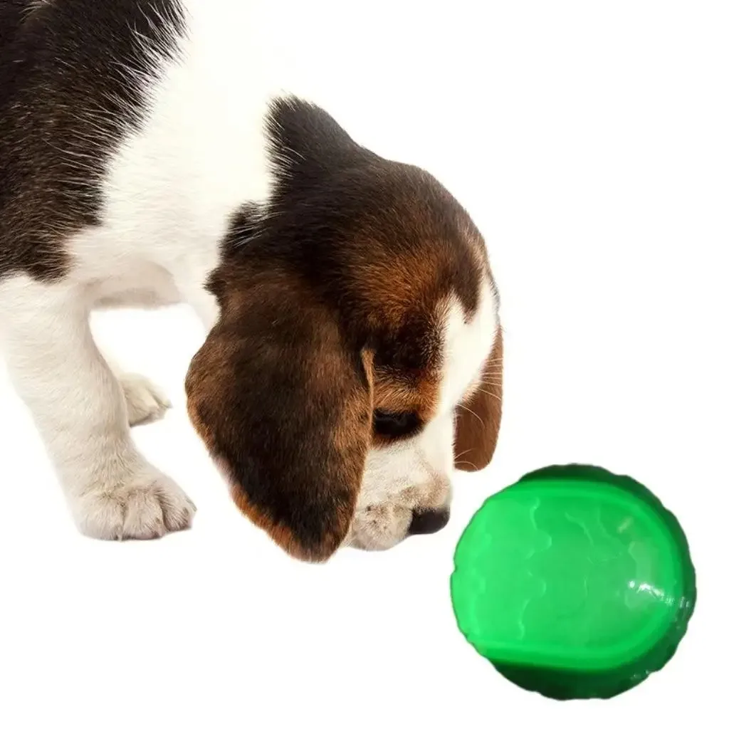 Bola luminosa para perros - vista general