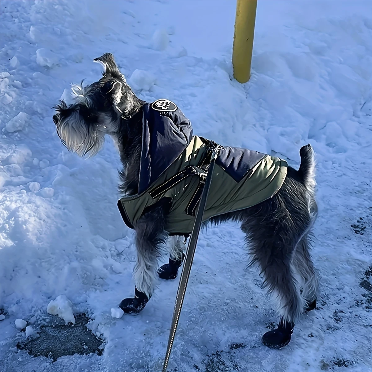 Botas para perros resistentes al agua