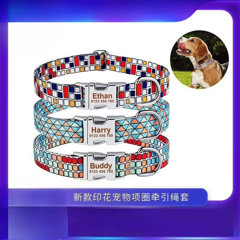 Collar y correa ajustables para perros pequeños y medianos