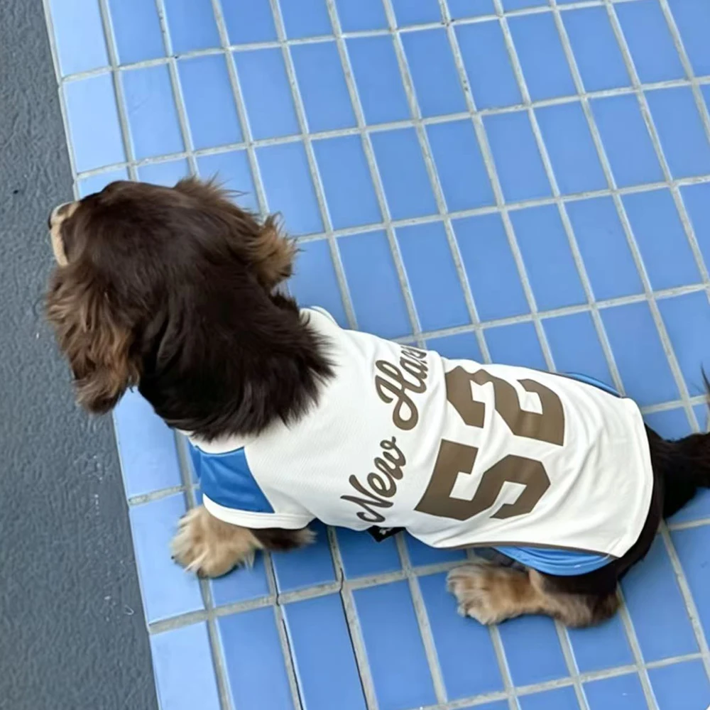 Camiseta refrescante secado rápido antimosquitos para perros salchicha - imagen 4