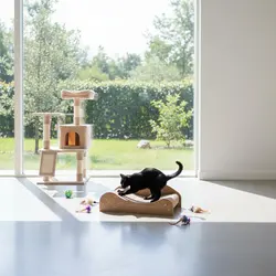 Cama rascador de sisal para gatos: protege y evita arañazos