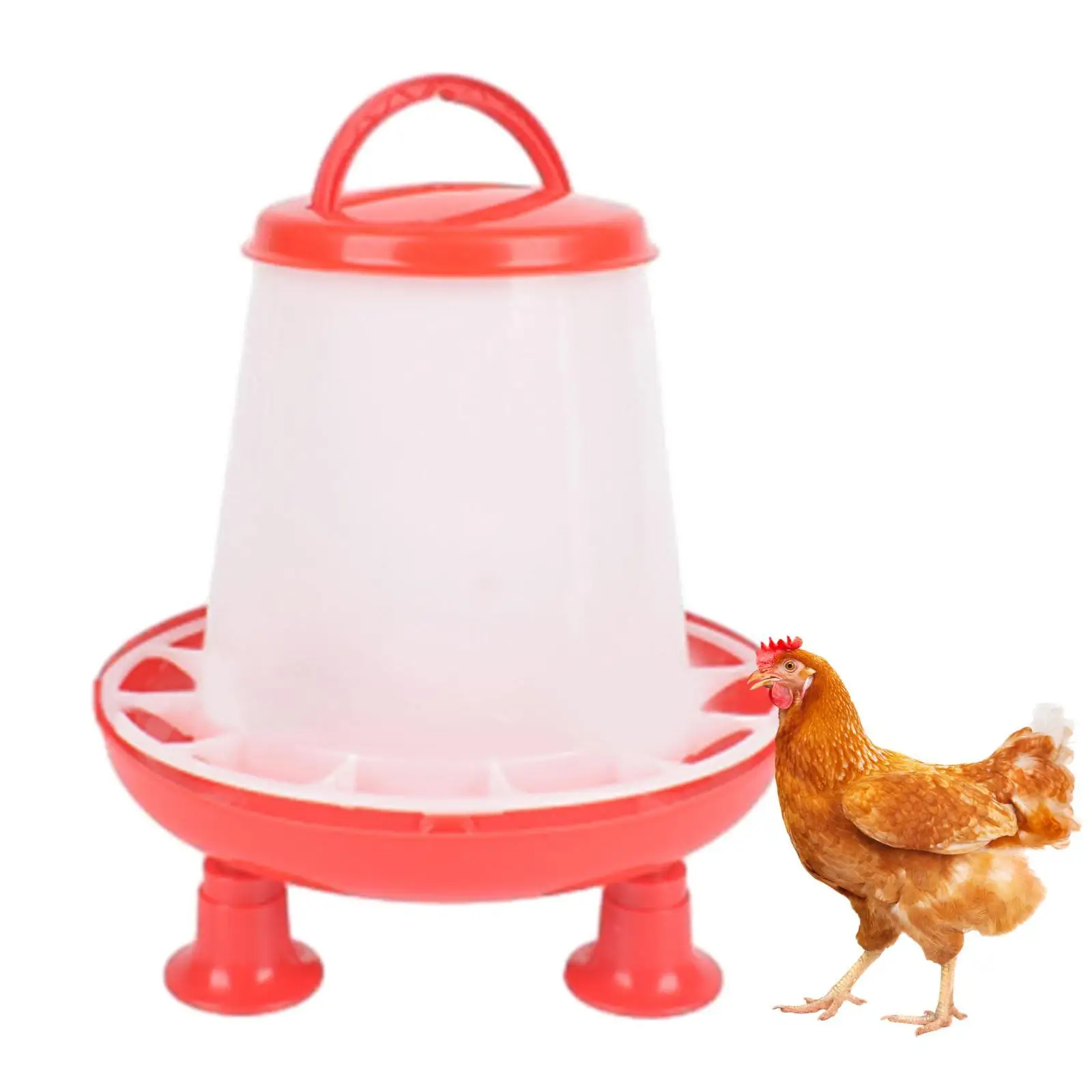 Imagen del comedero rodeado de gallinas en un entorno rural