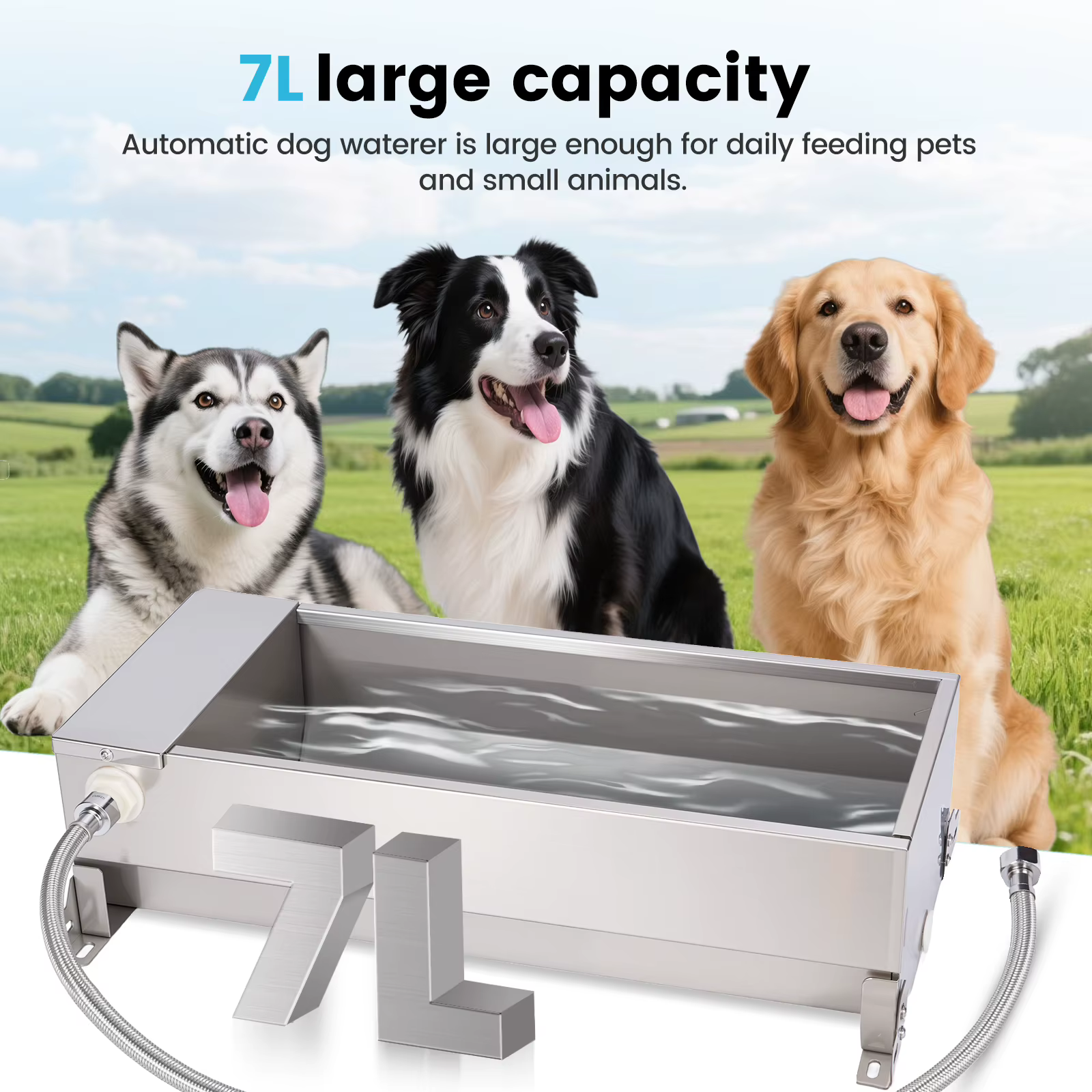 Bebedero automático acero inoxidable 7L para ganado – Vacas, ovejas y cabras - imagen 4
