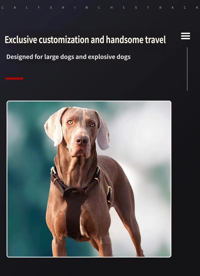 Arnés antitirones para perros medianos y grandes – Ajustable