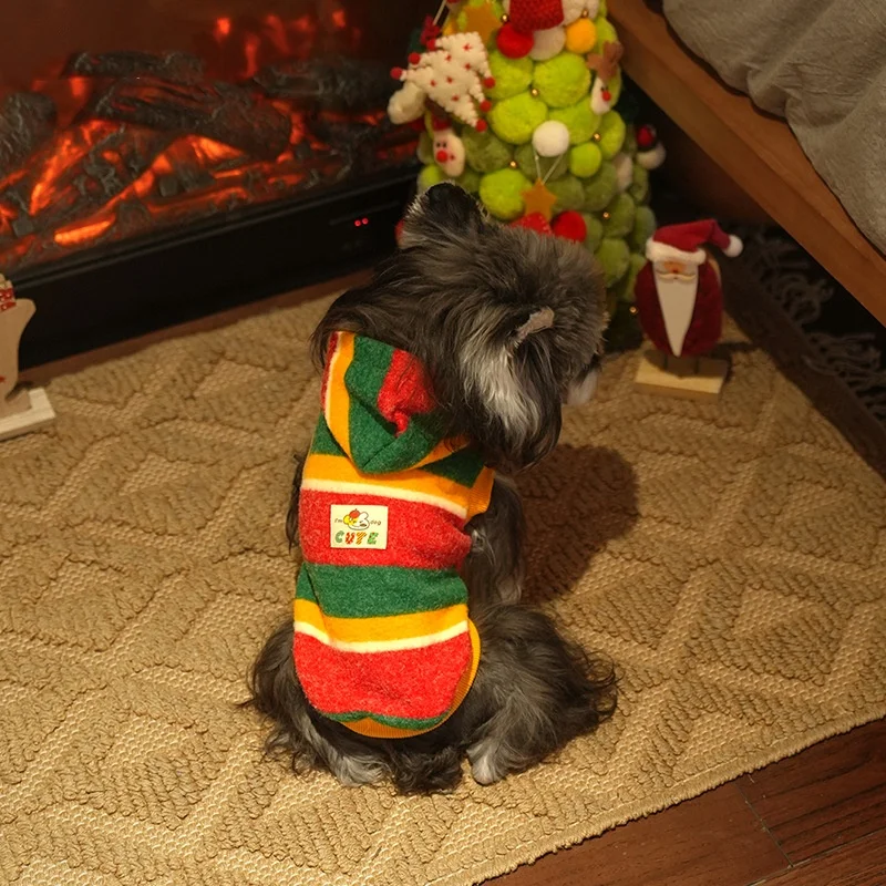 Perro usando la sudadera en exterior
