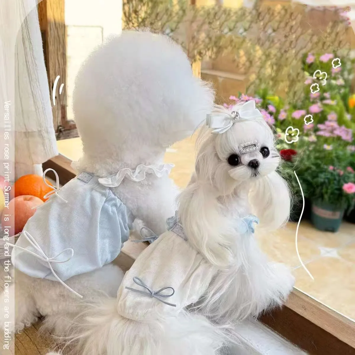 Vestido de primavera para mascotas con lazo colorido