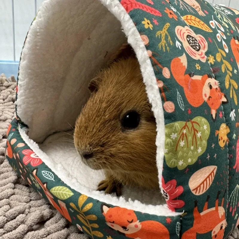 Un animal pequeño posiblemente un hámster, se está asomando de debajo de una manta