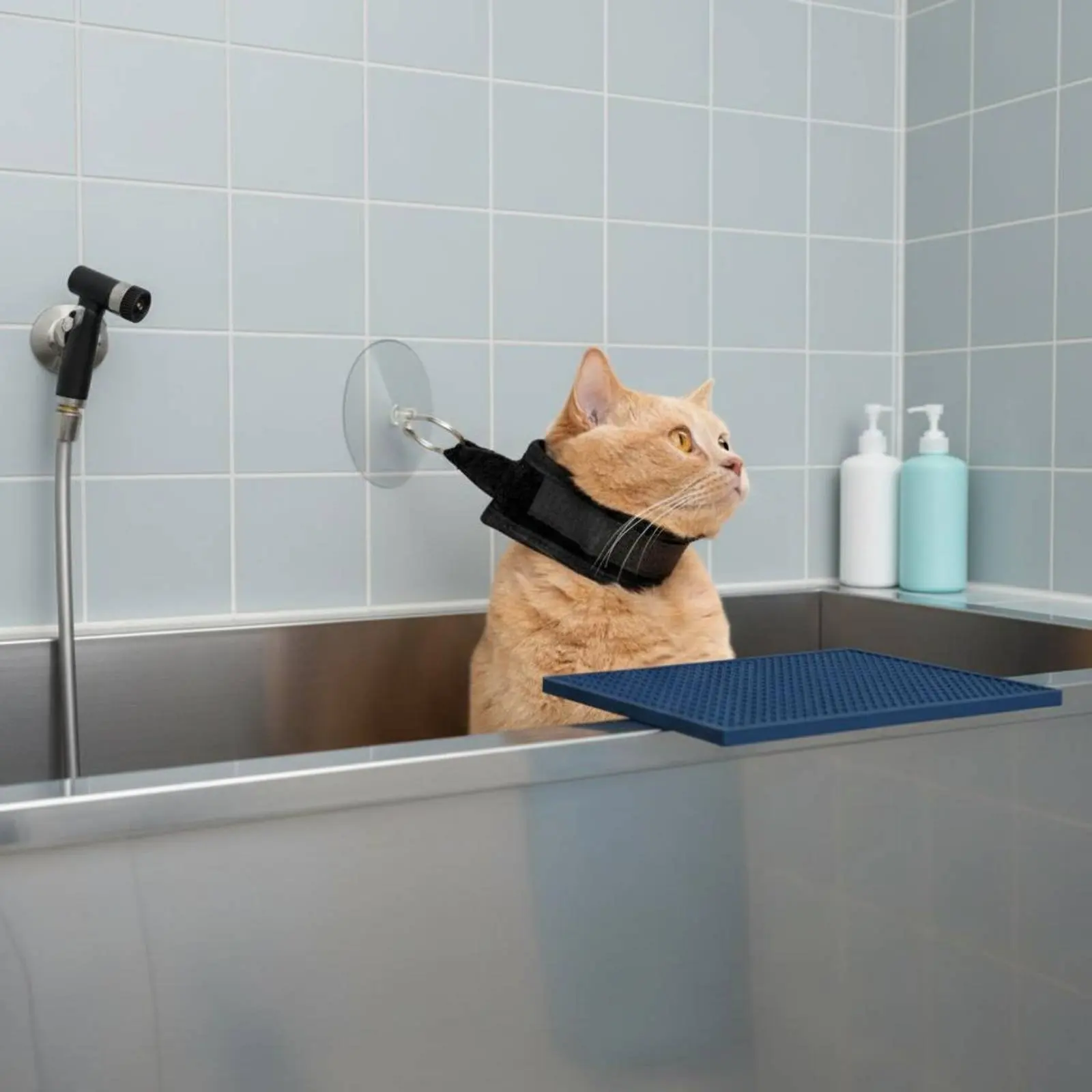 Correa resistente para baño con soporte de succión para perros y gatos