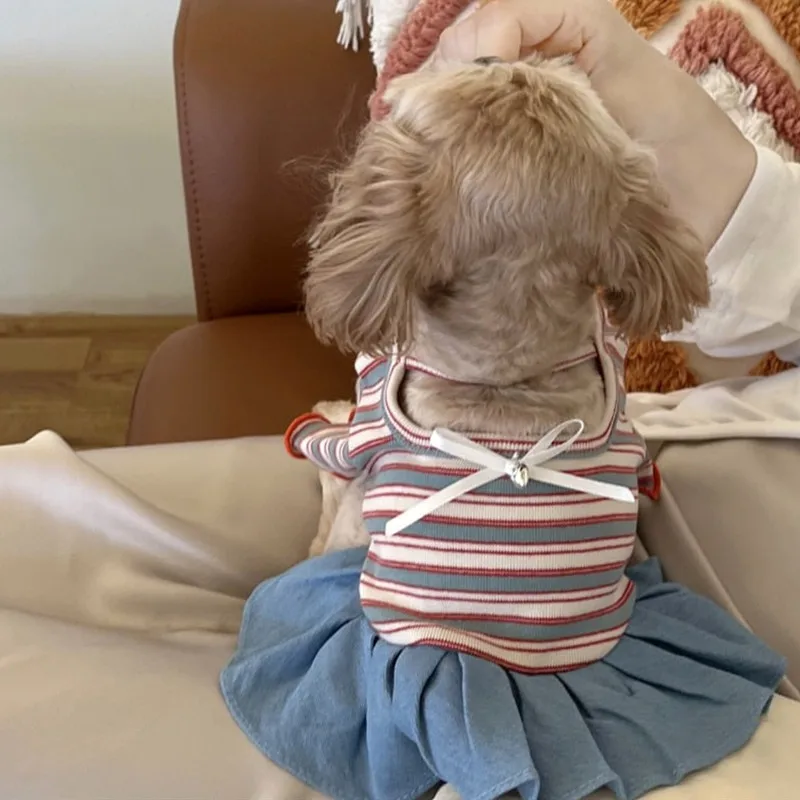 Conjunto ligero para verano en perros pequeños