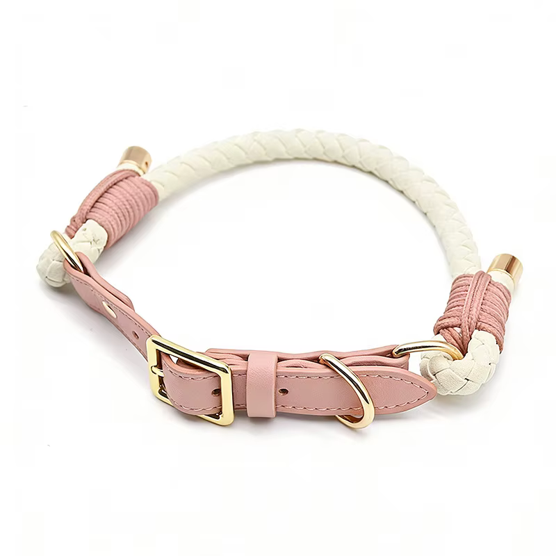 Collar y correa trenzados para perro – Paseo y adiestramiento - imagen 3