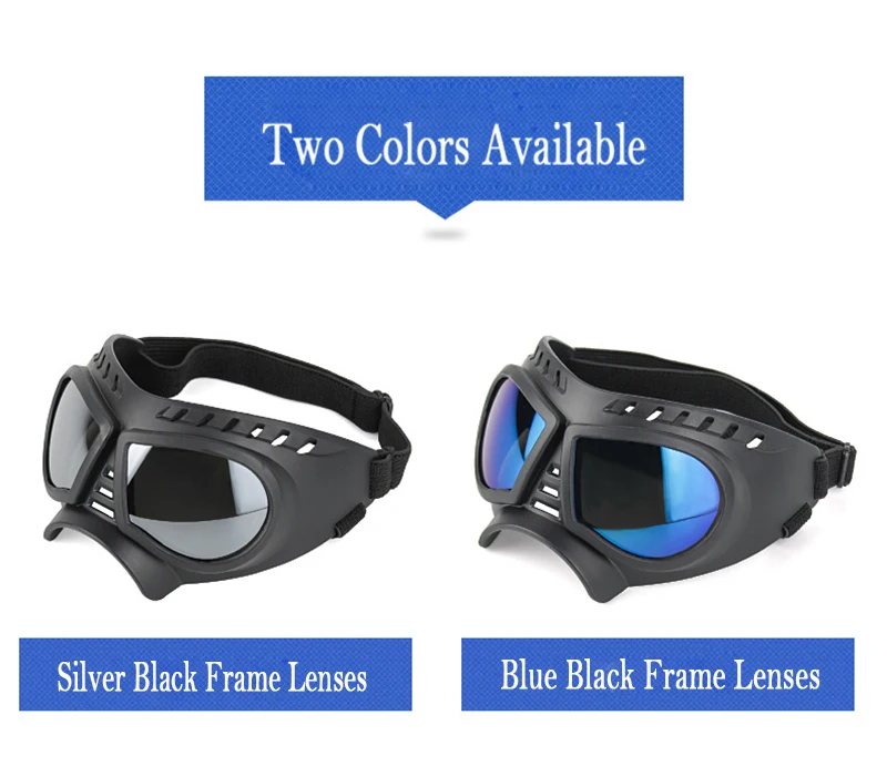 Gafas con montura negra azul para caniche
