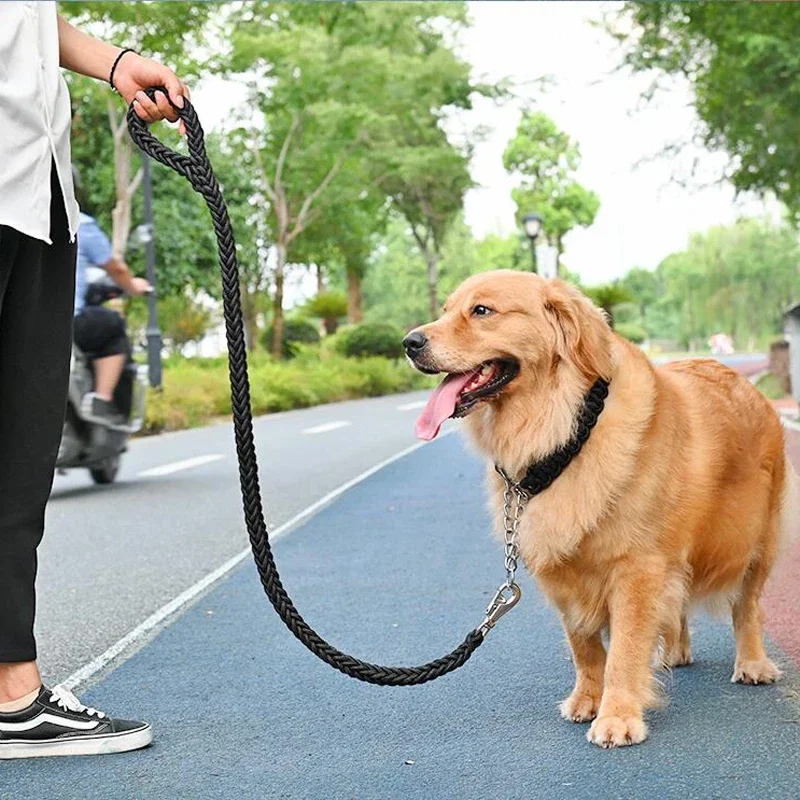 Correa trenzada para perro, adiestramiento y paseos cómodos - imagen 3