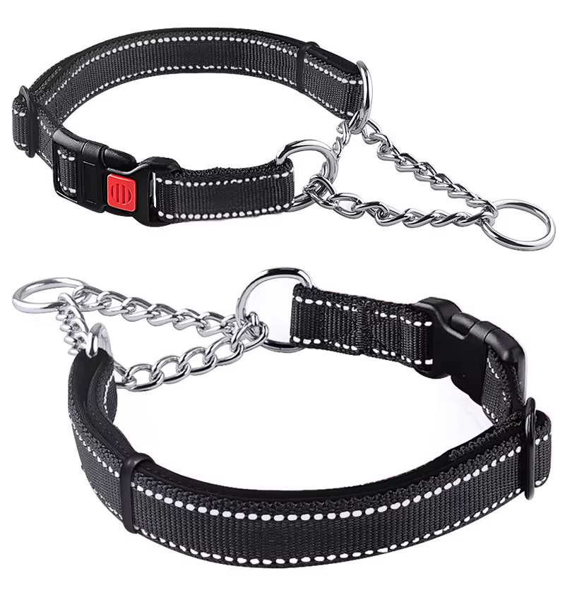 Uso responsable del collar P para perros
