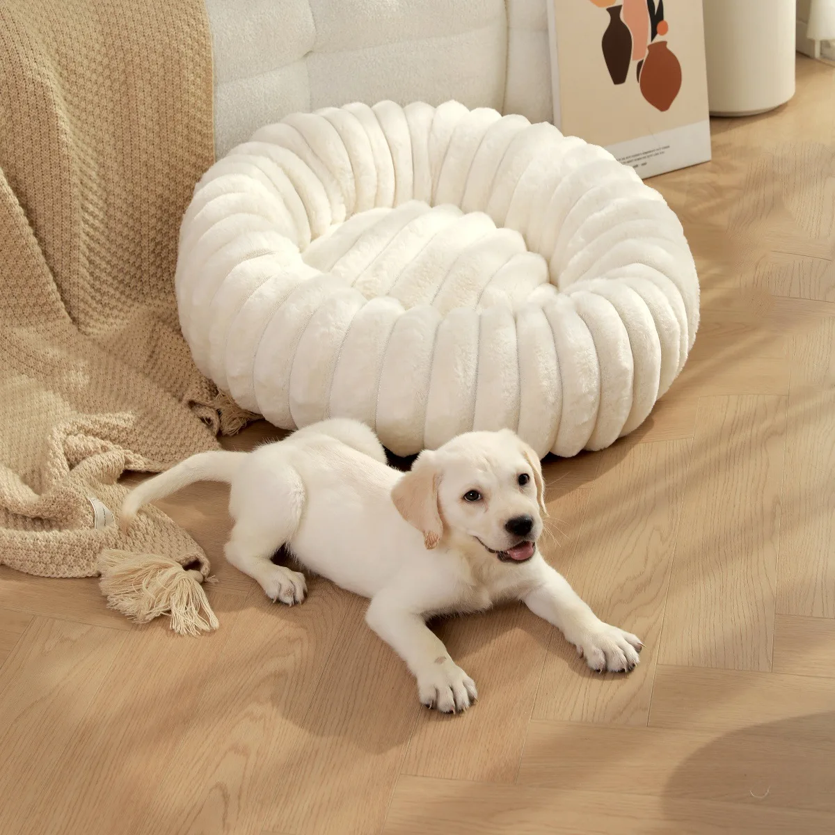 Cama gatos textura suave