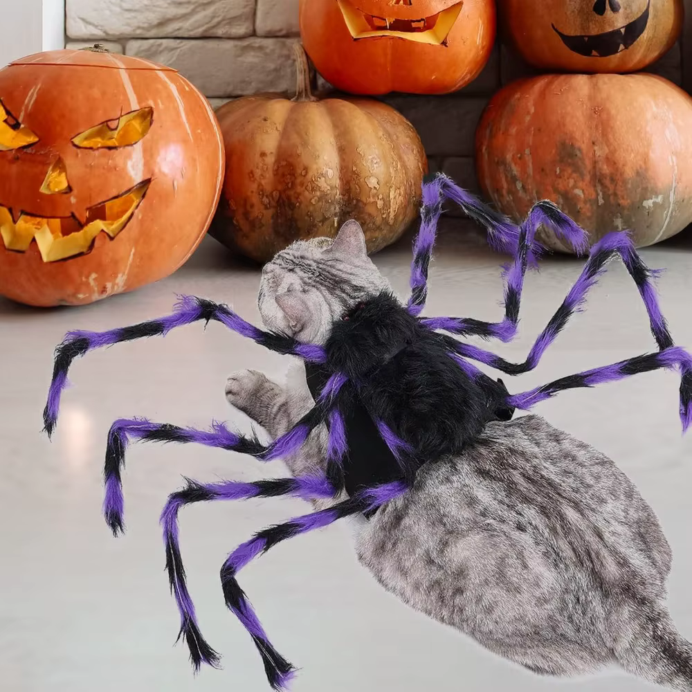 Disfraz de araña para gatos y perros pequeños en Halloween - imagen 4