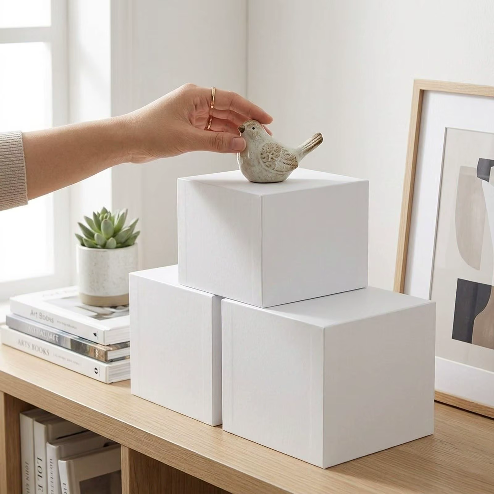 Caja expositora de acrílico multiusos para perros y gatos - imagen 5