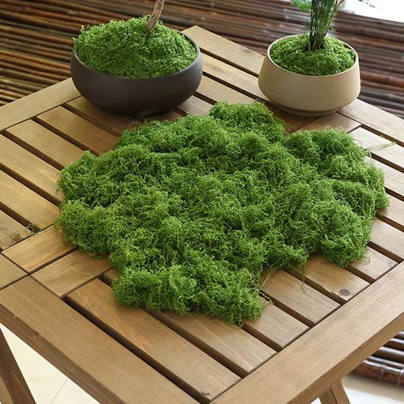 Musgo Artificial para Decoración de Macetas y Terrarios – Pack 20g Verde - imagen 2