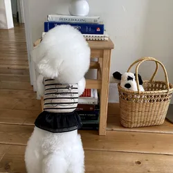 Vestido de encaje para perra con falda a rayas – Chihuahua y Bichón