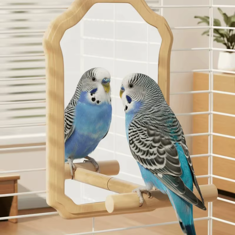 Juguete Espejo con Poseyedero para Aves Pequeñas – Interactivo y Resistente a Mordiscos - imagen 4