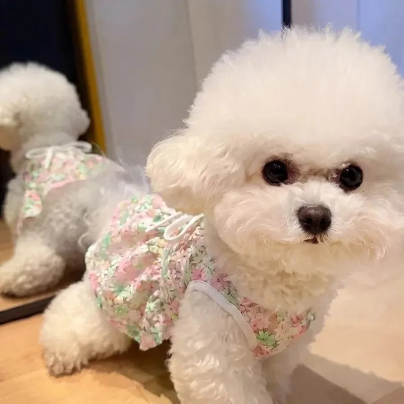 Vestido camisero verano transpirable para Pomerania y Yorkshire - imagen 5