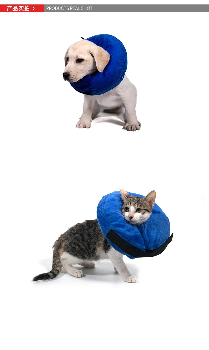 Collar inflable en posición de uso