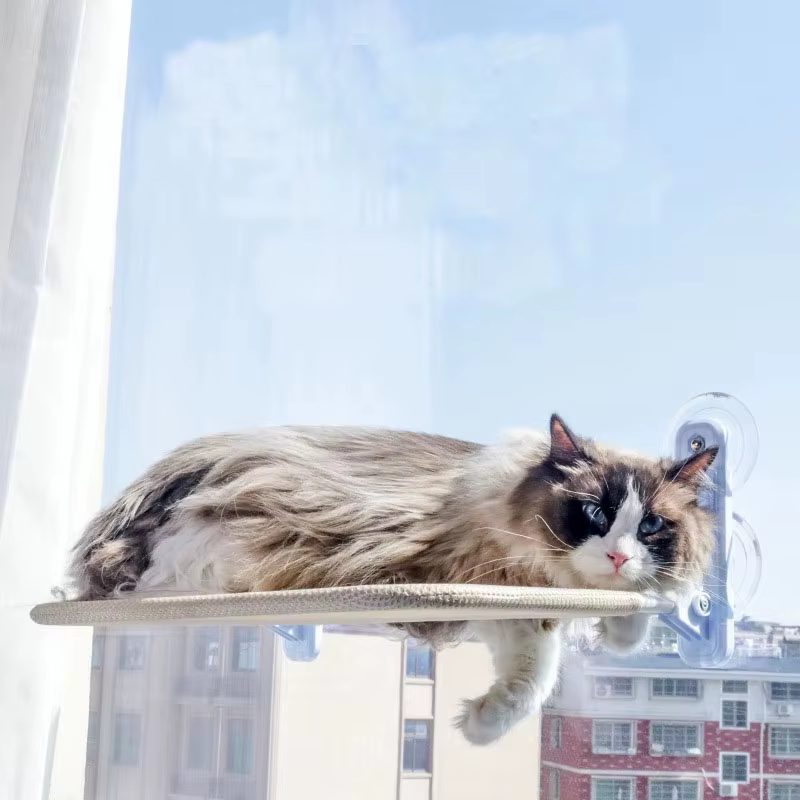 Hamaca para gatos plegable con ventosa de ventana, colgante sol - imagen 4